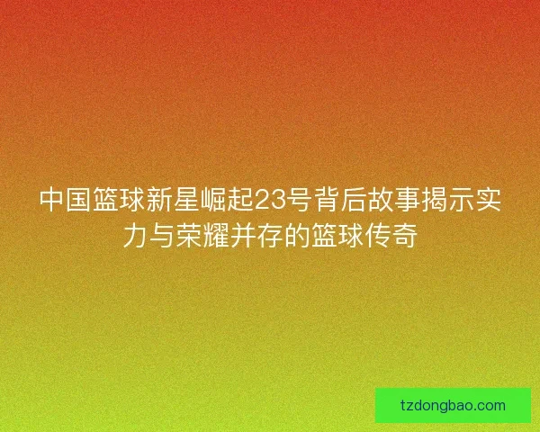 中国篮球新星崛起23号背后故事揭示实力与荣耀并存的篮球传奇