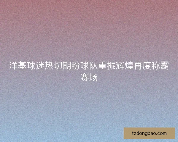 洋基球迷热切期盼球队重振辉煌再度称霸赛场