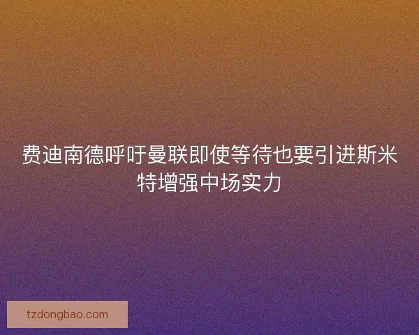 费迪南德呼吁曼联即使等待也要引进斯米特增强中场实力 费迪南德呼吁曼联即使等待也要引进斯米特增强中场实力