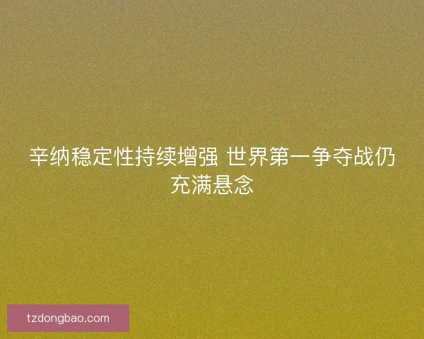 辛纳稳定性持续增强 世界第一争夺战仍充满悬念